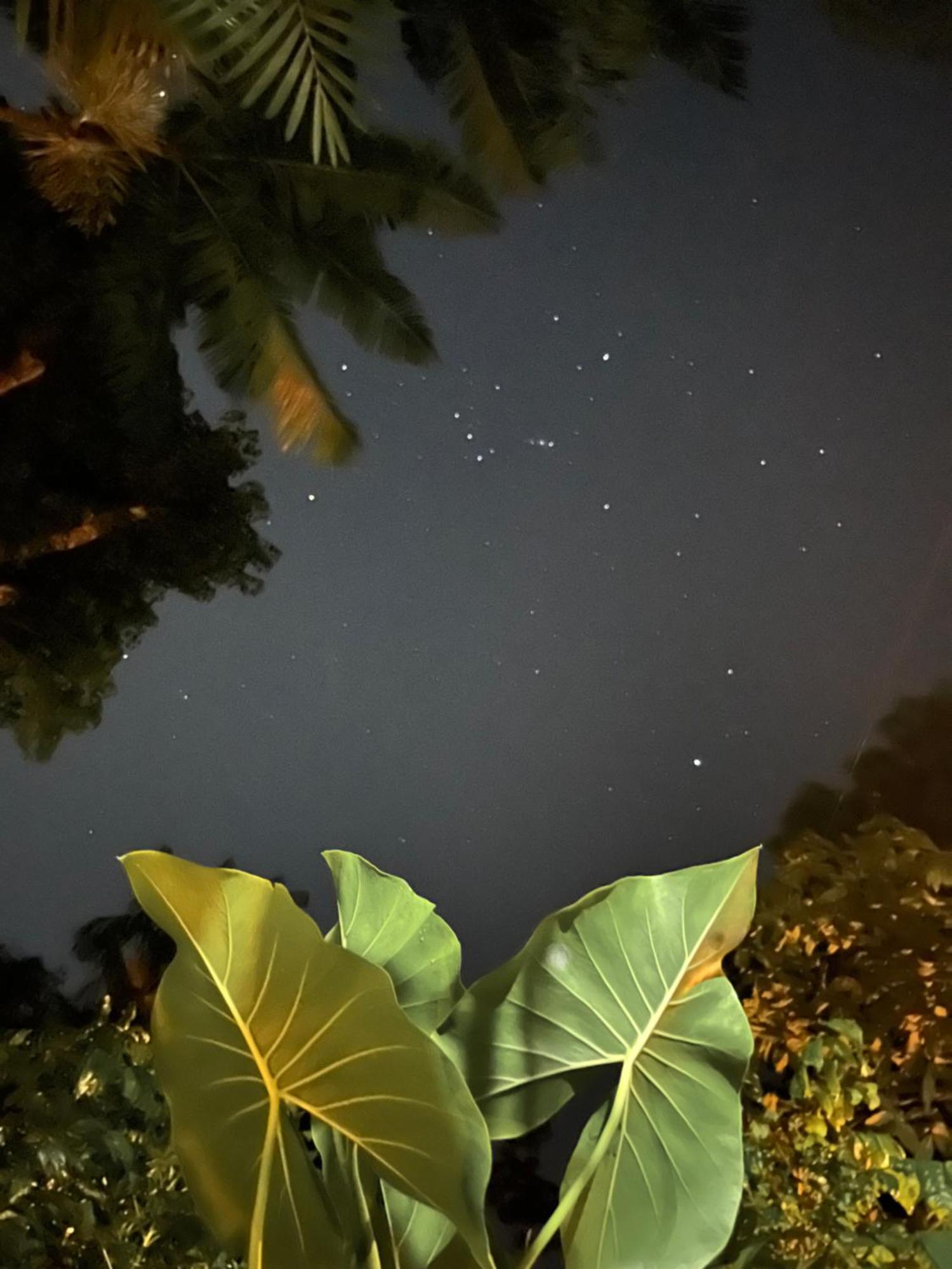 Olaria River Hostel 贝伦 外观 照片